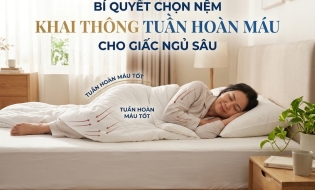 Bí Quyết Chọn Nệm Khai Thông Tuần Hoàn Máu Cho Giấc Ngủ Sâu