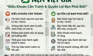 Điều Khoản Cần Tránh & Quyền Lợi Bạn Phải Biết